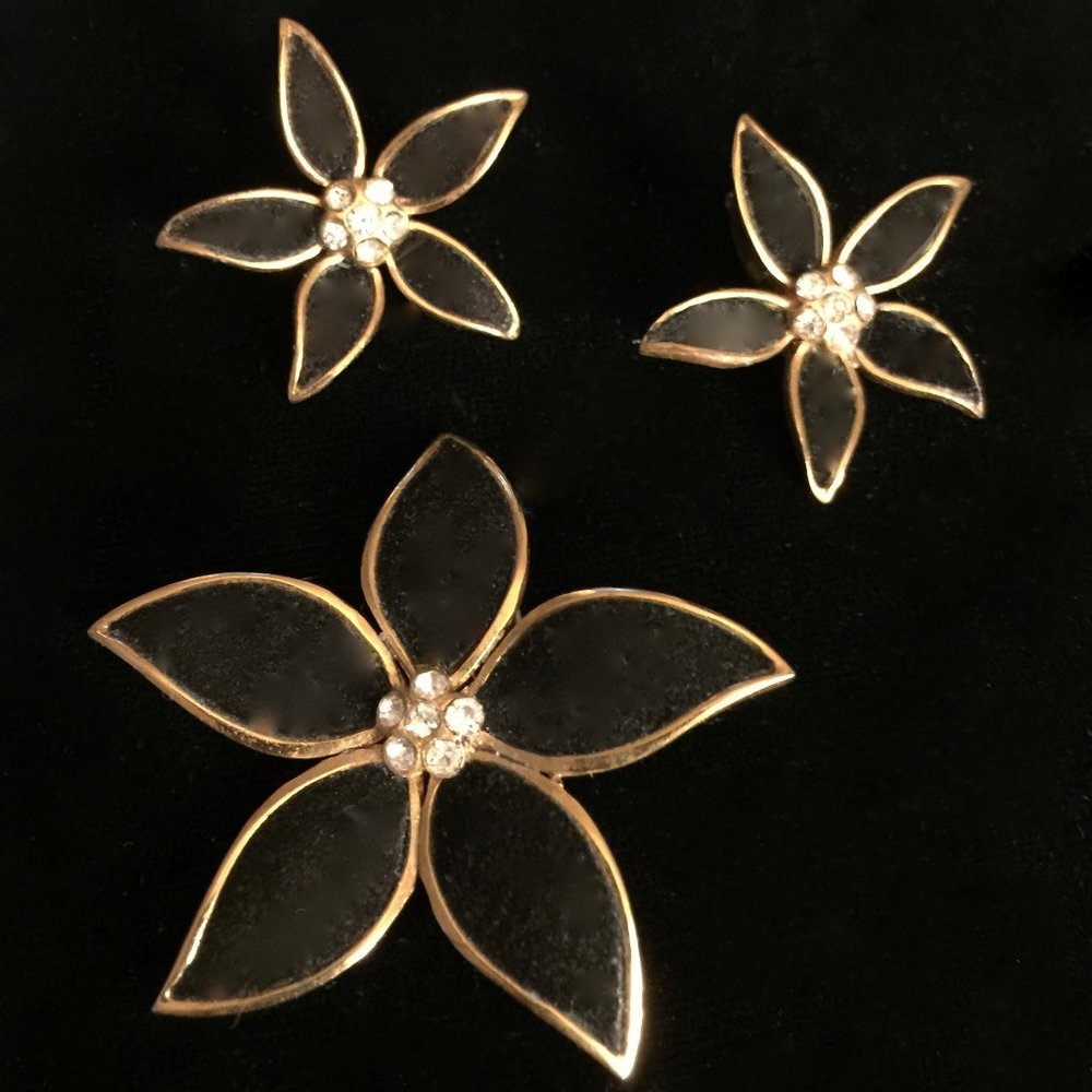 Vintage French Pin and Earrings